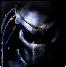 predator5.jpg