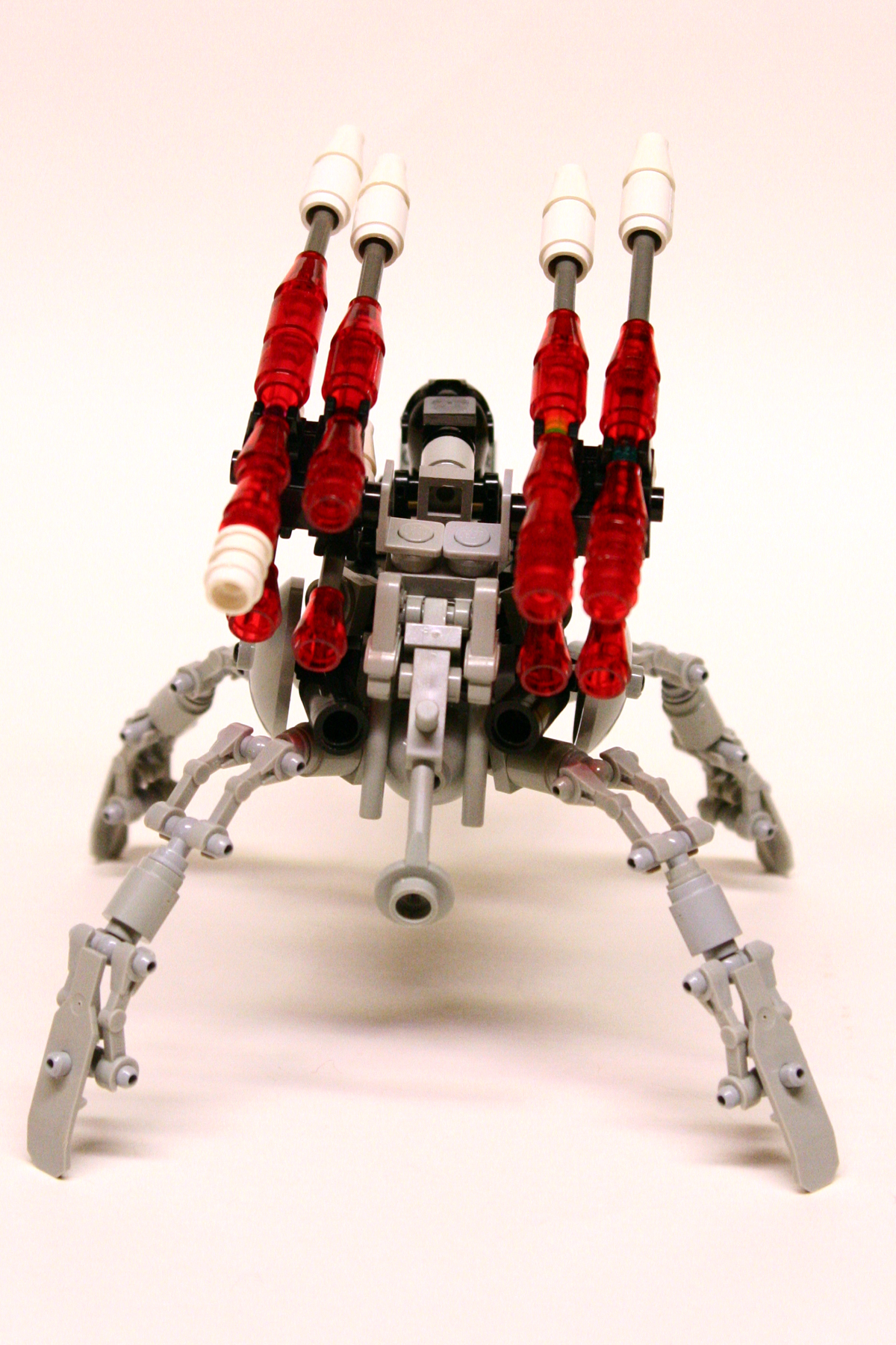 spider_004.jpg