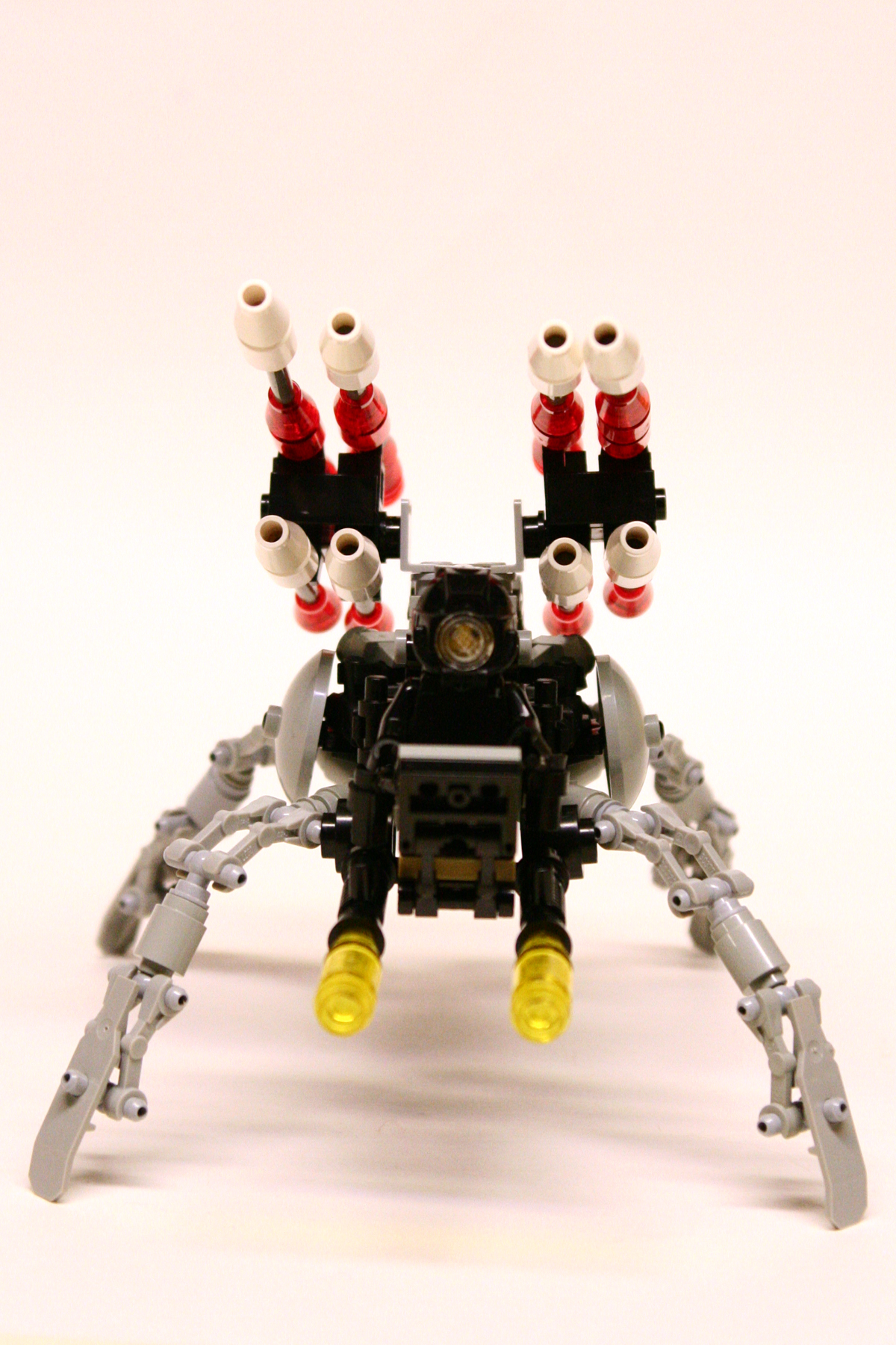 spider_006.jpg
