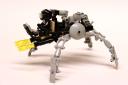 spider_008.jpg