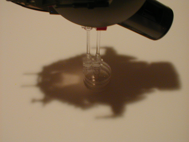 shadow.jpg