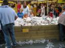 billund_box02.jpg