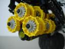 dscn8482.jpg