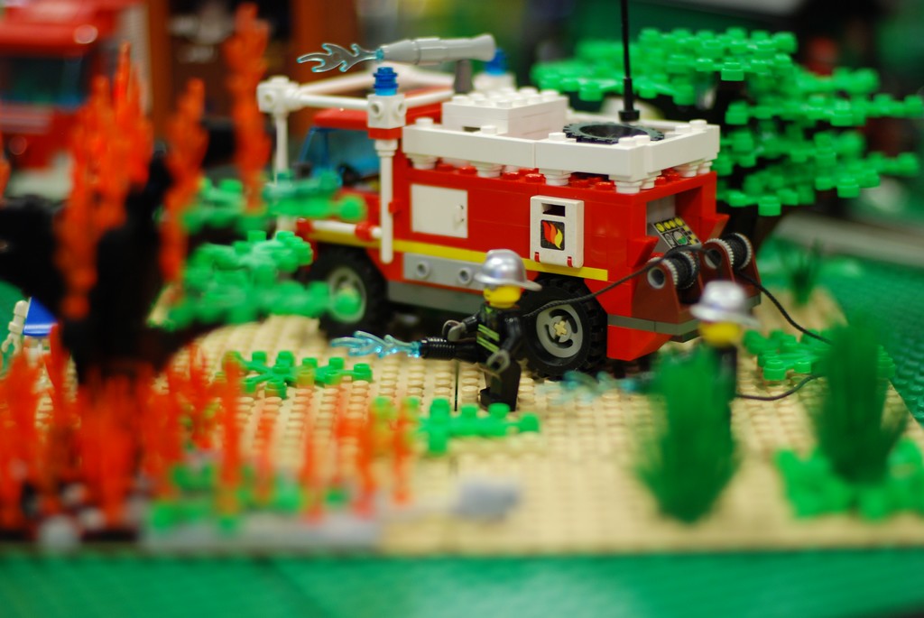 dsc_0573.jpg