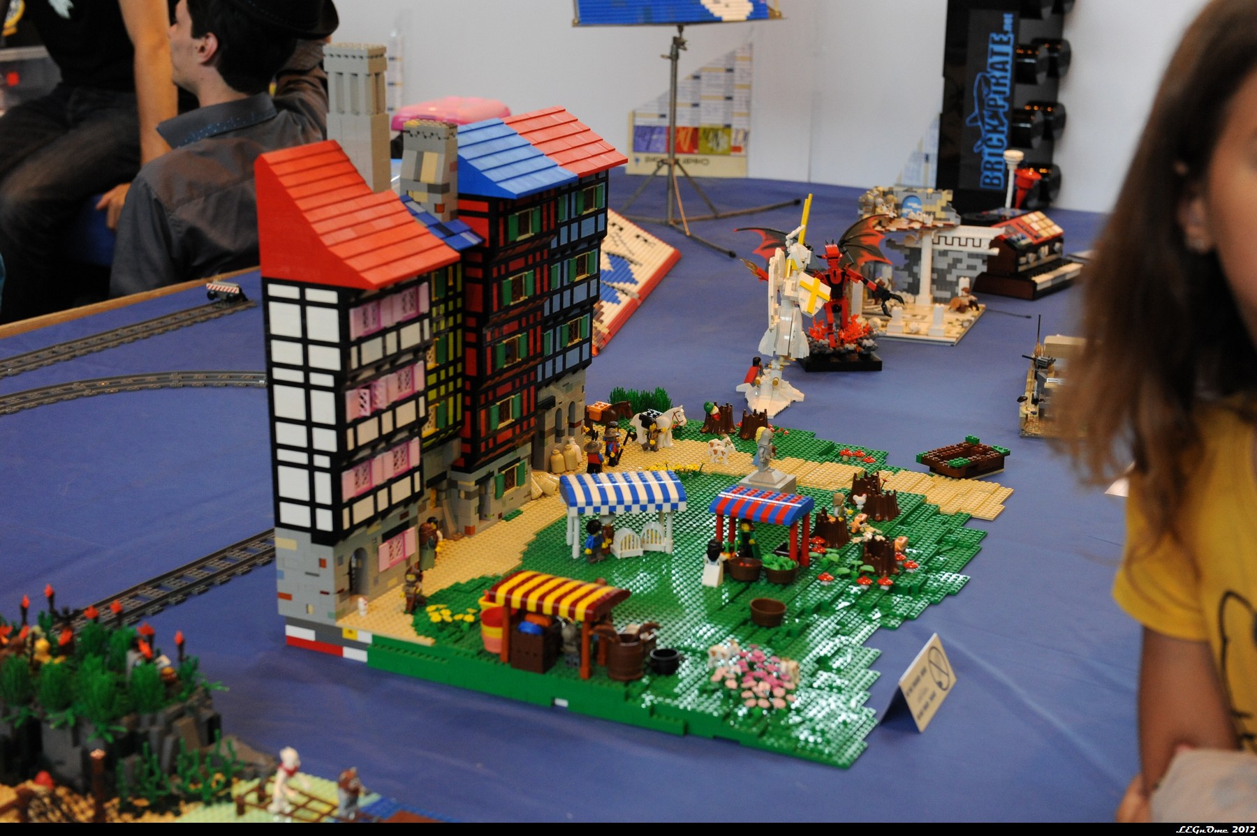 dsc_3732.jpg
