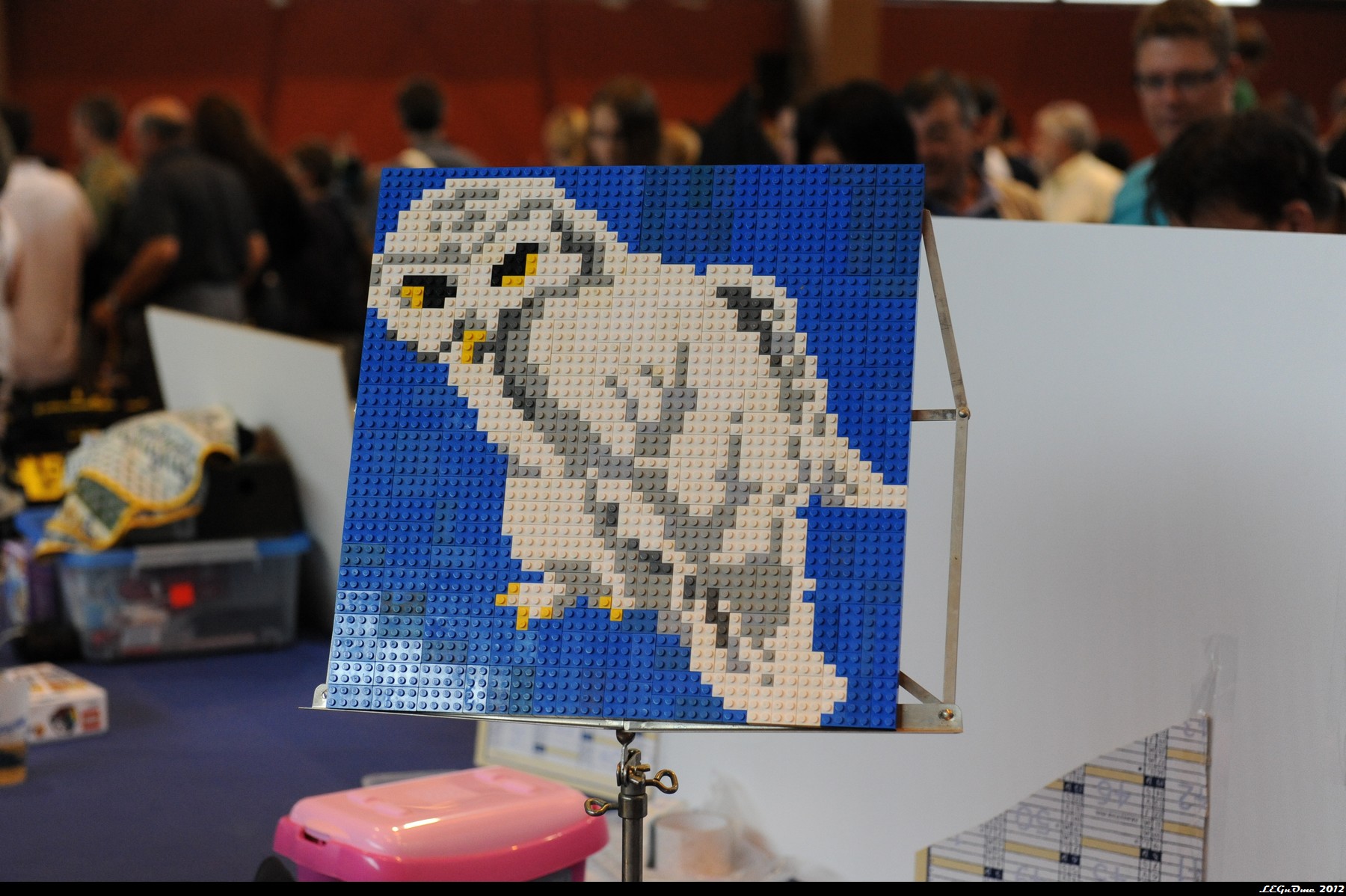 dsc_3744.jpg
