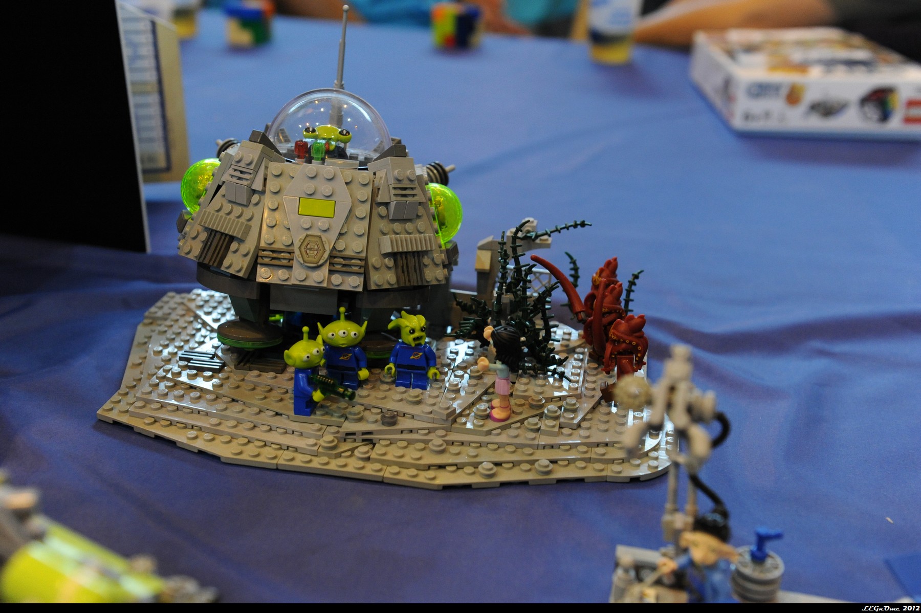 dsc_3825.jpg
