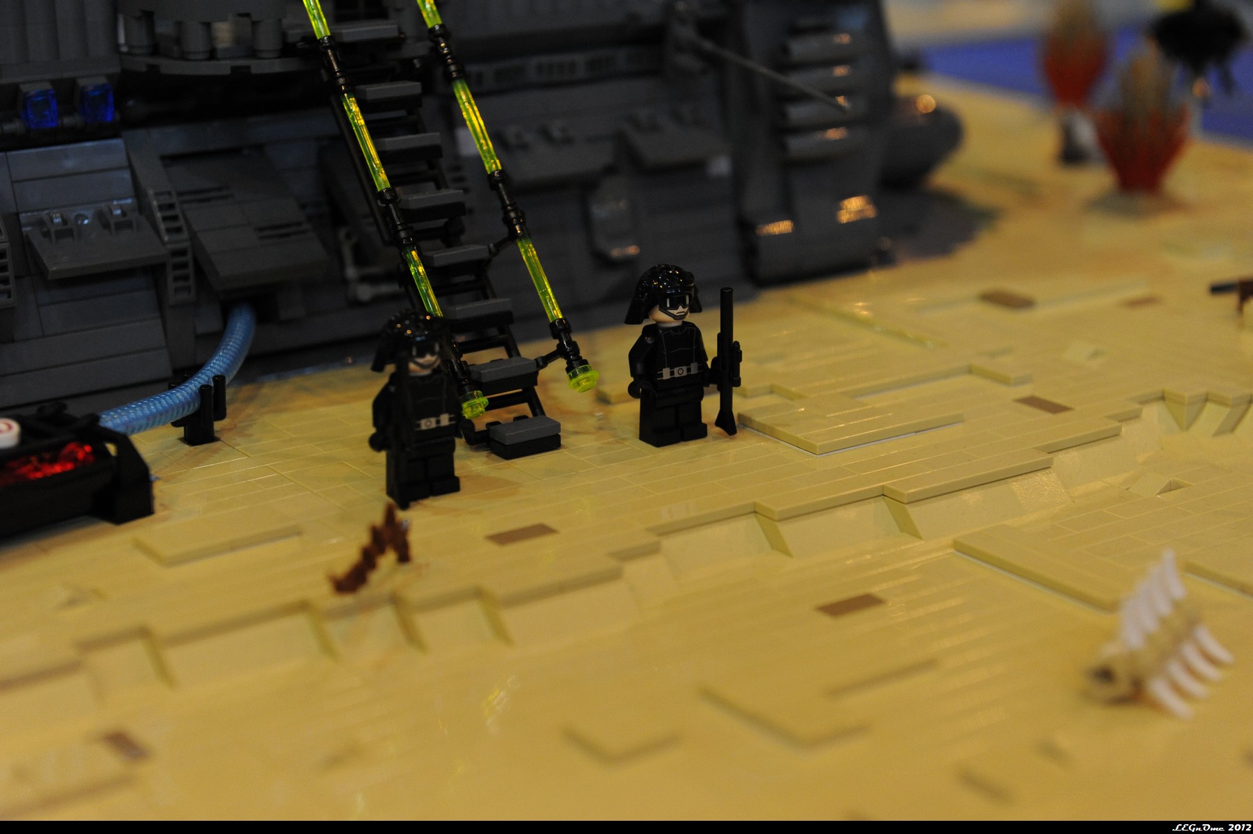 dsc_3834.jpg