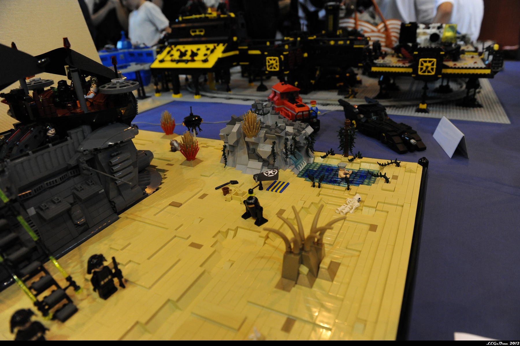dsc_3842.jpg