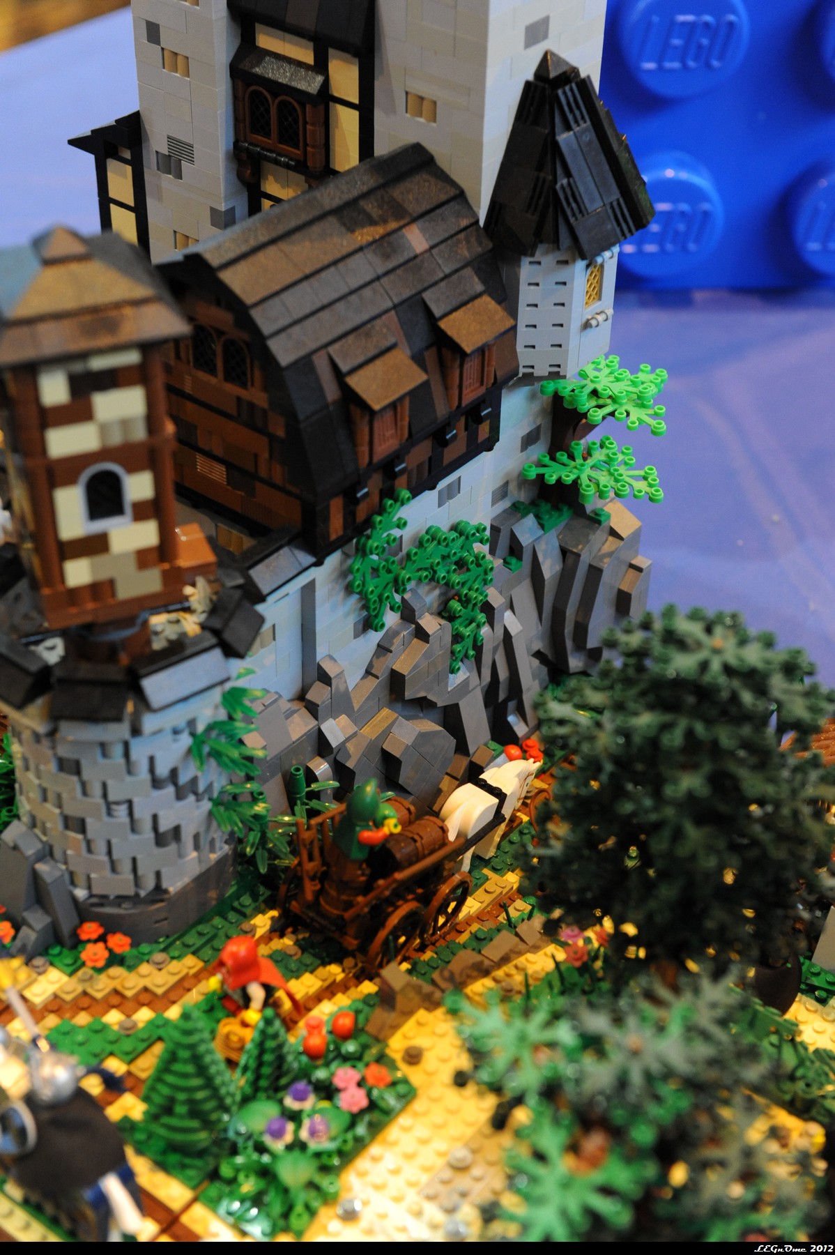 dsc_3883.jpg