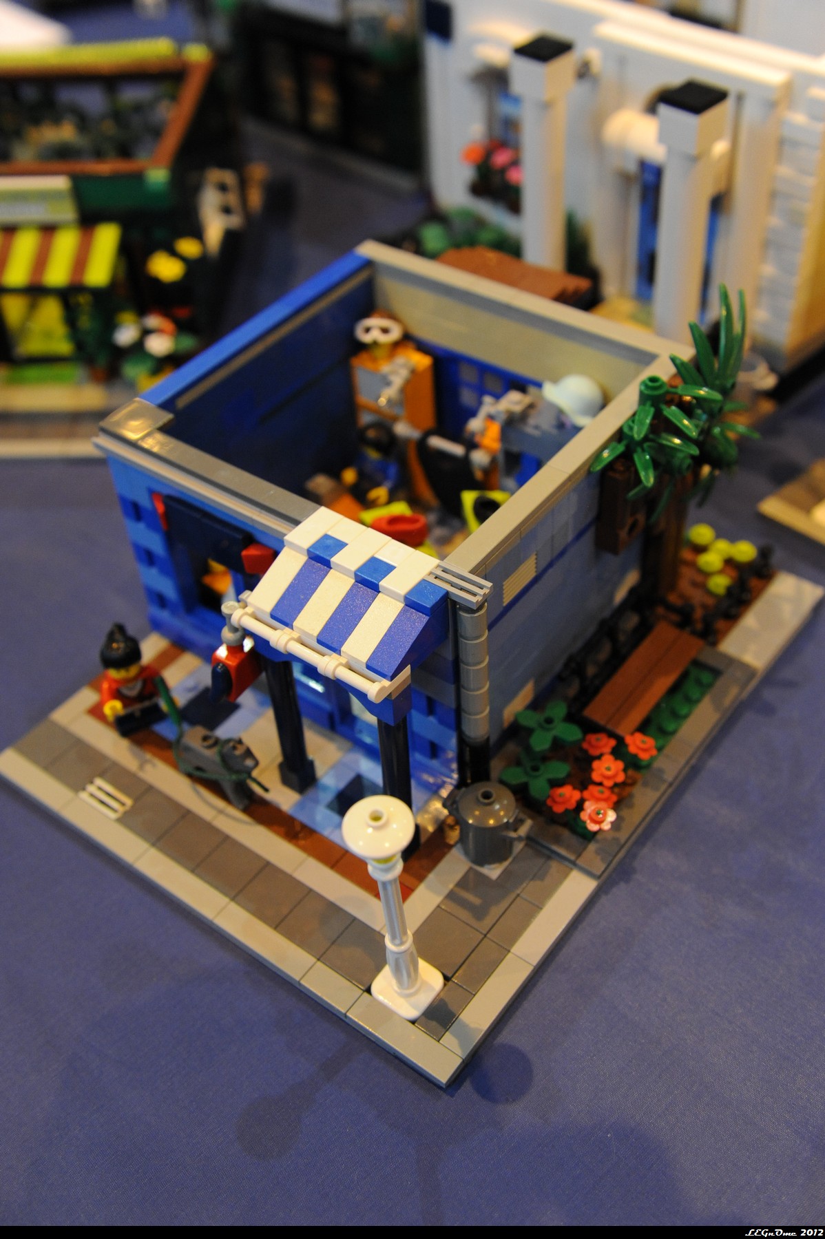 dsc_3938.jpg