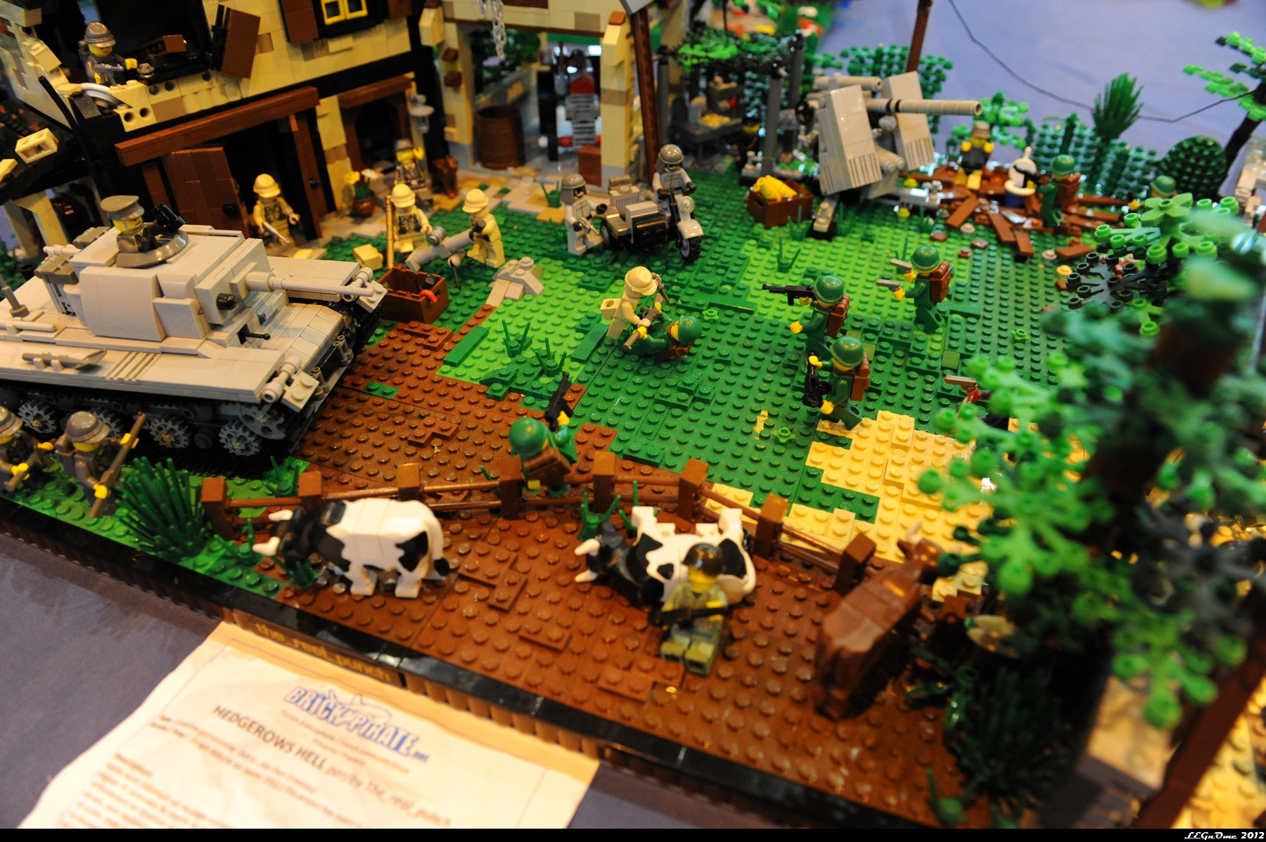 dsc_3965.jpg