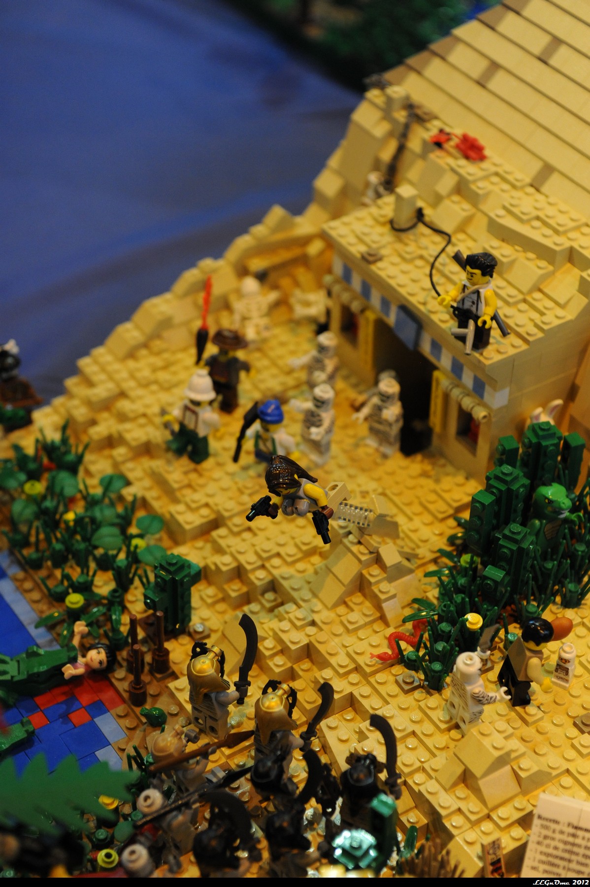 dsc_3990.jpg