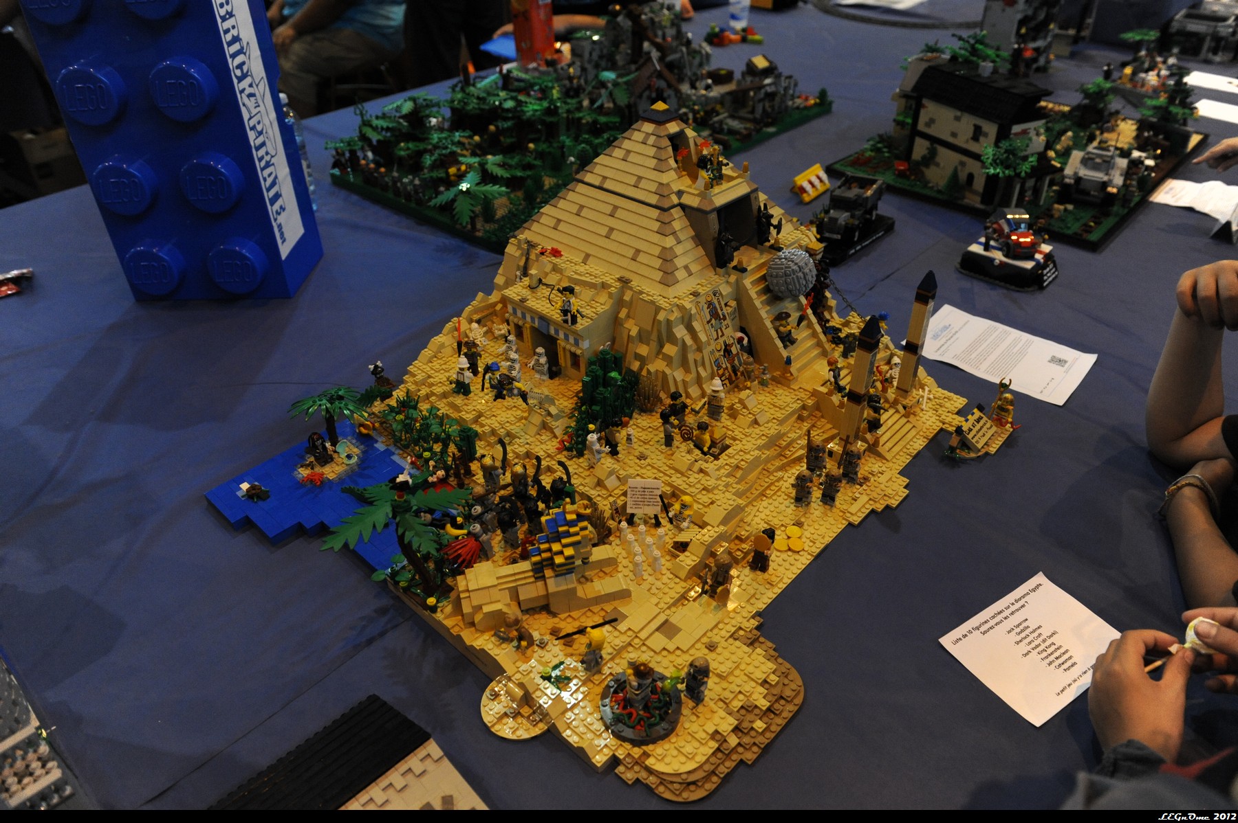 dsc_3993.jpg