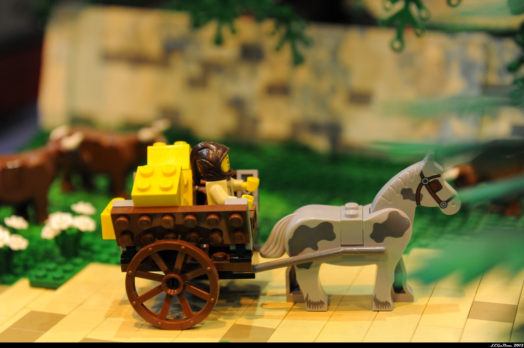 dsc_4060.jpg