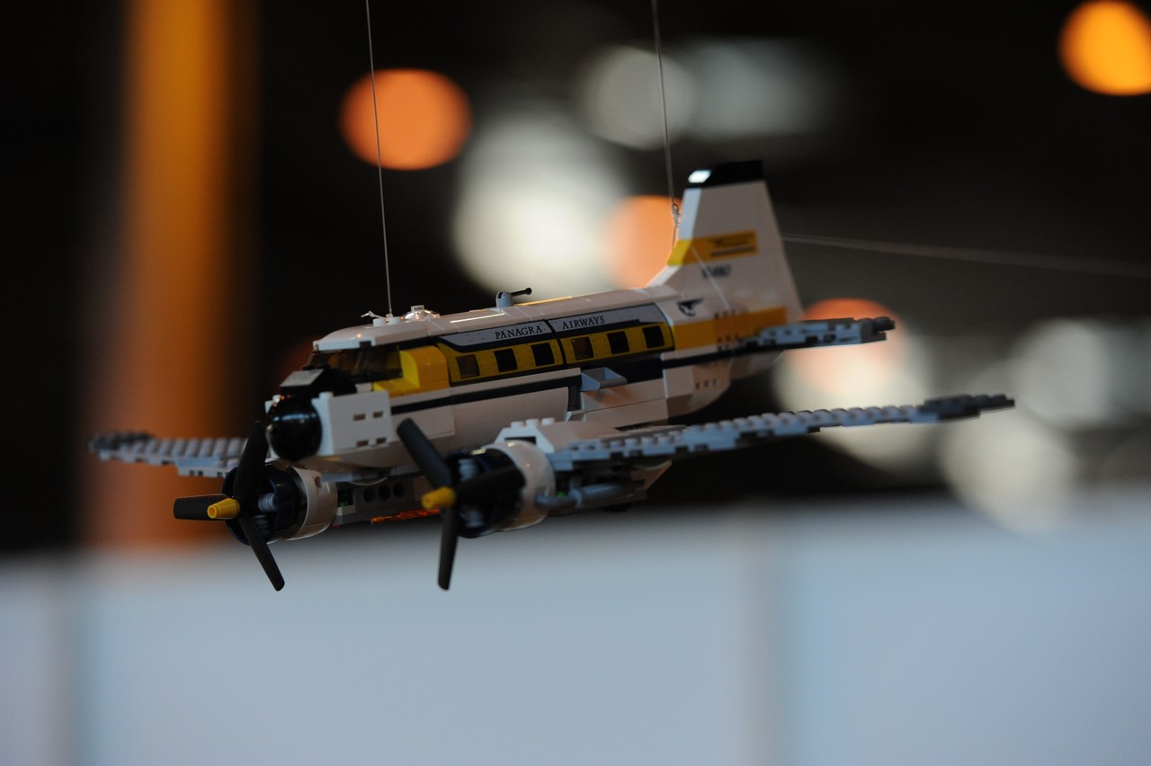 dsc_8264.jpg