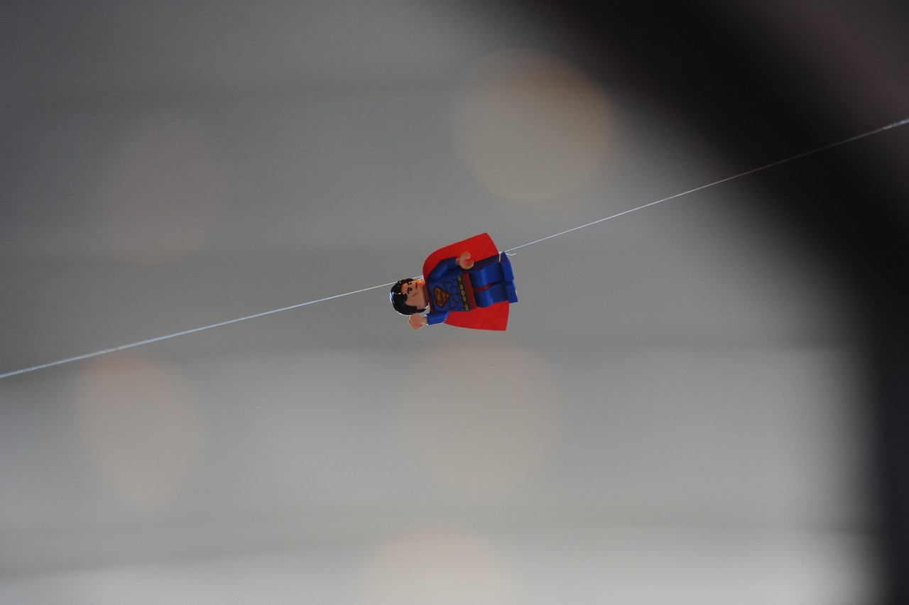dsc_8309.jpg
