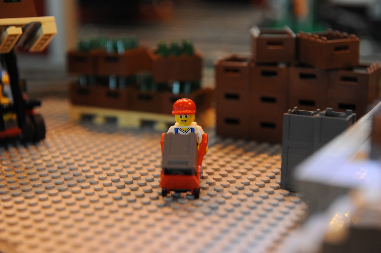 dsc_8550.jpg