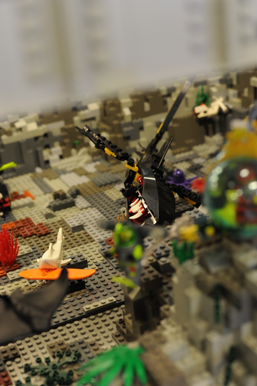 dsc_5141.jpg
