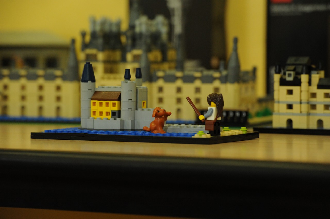dsc_8587.jpg