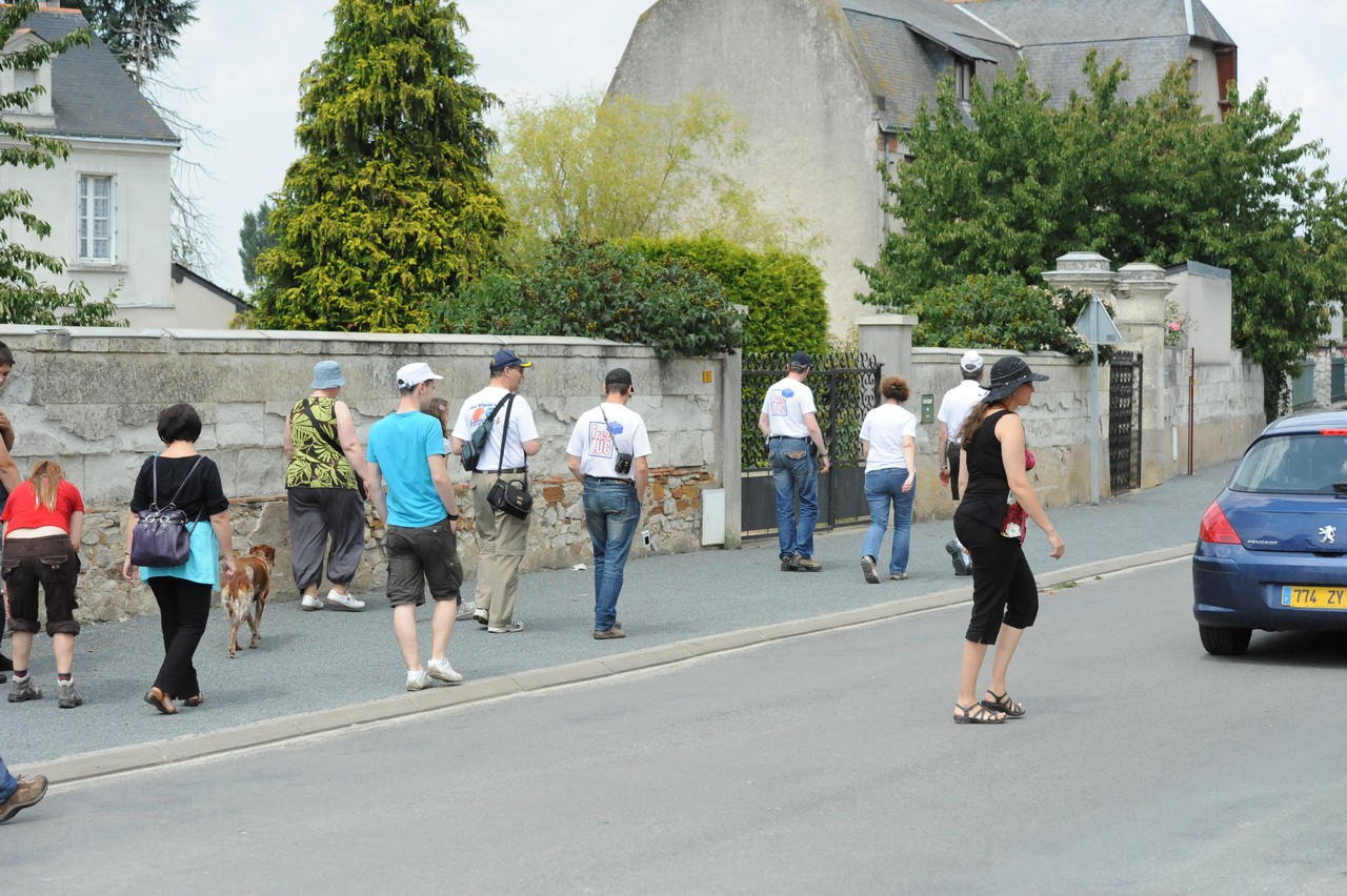 dsc_8595.jpg