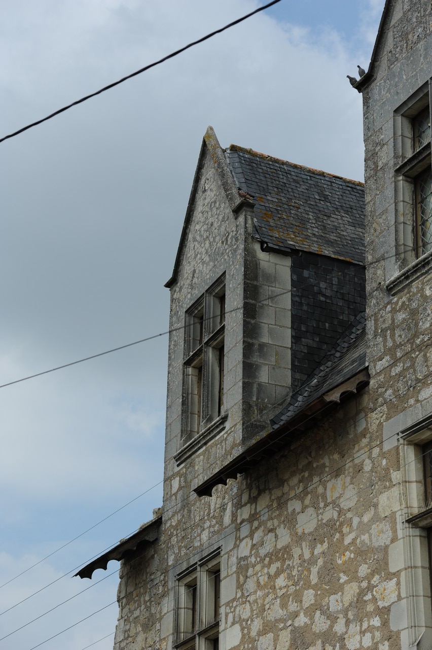 dsc_8602.jpg