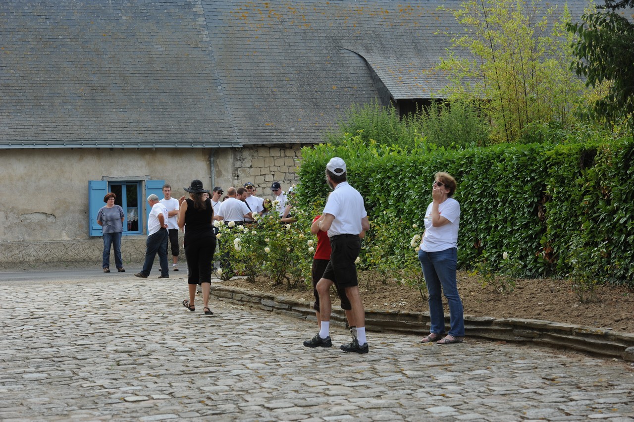 dsc_8612.jpg