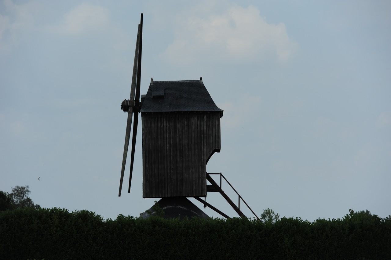 dsc_8616.jpg