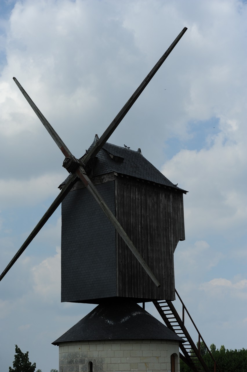 dsc_8618.jpg
