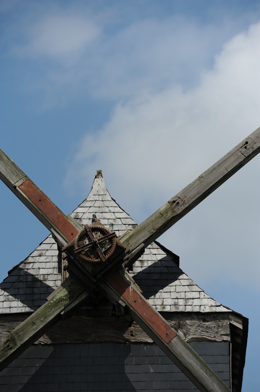 dsc_8620.jpg
