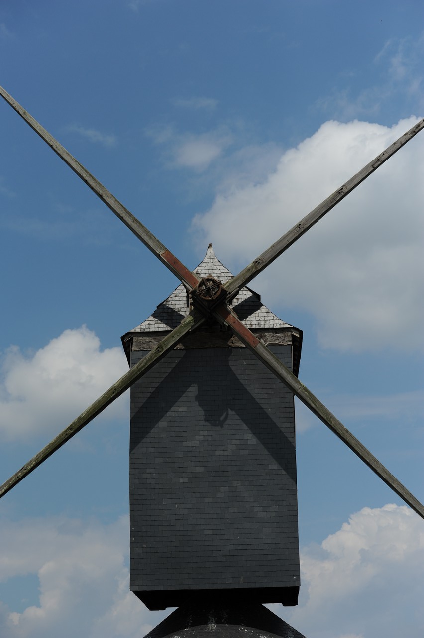 dsc_8621.jpg