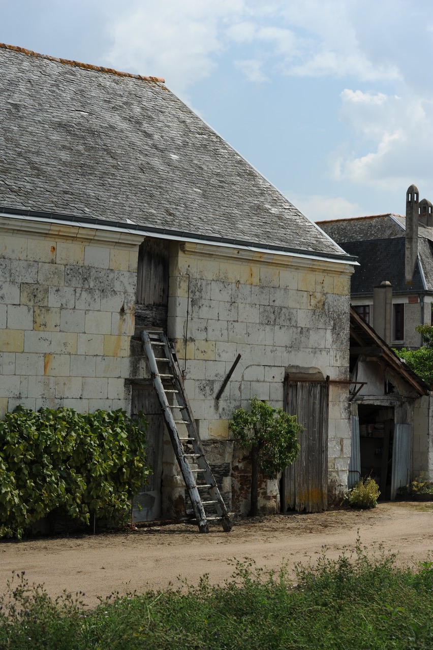 dsc_8631.jpg