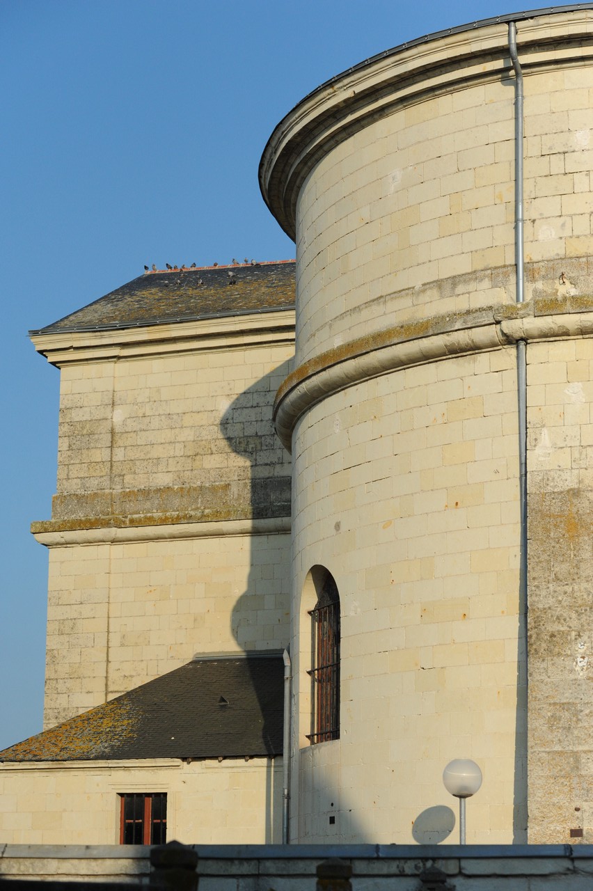 dsc_8655.jpg