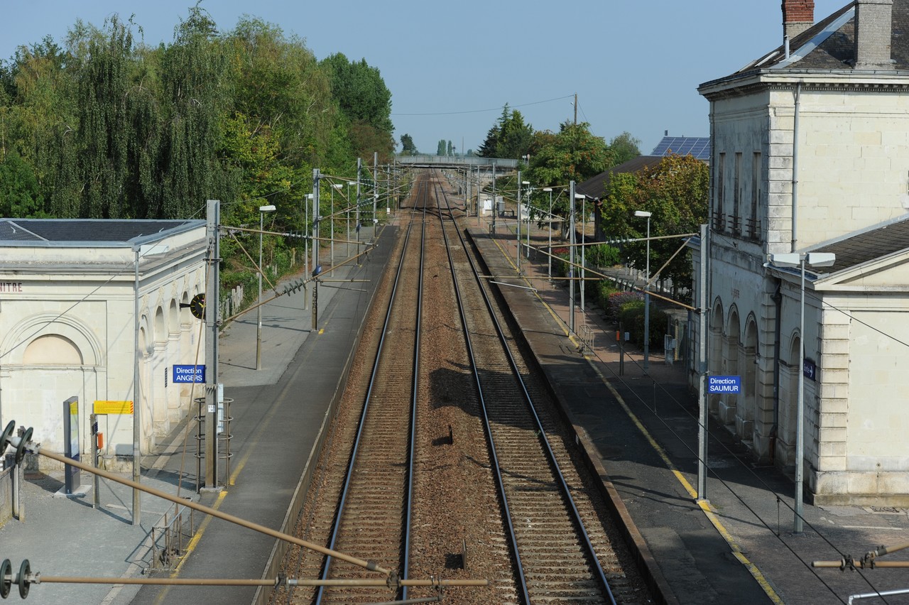 dsc_8706.jpg