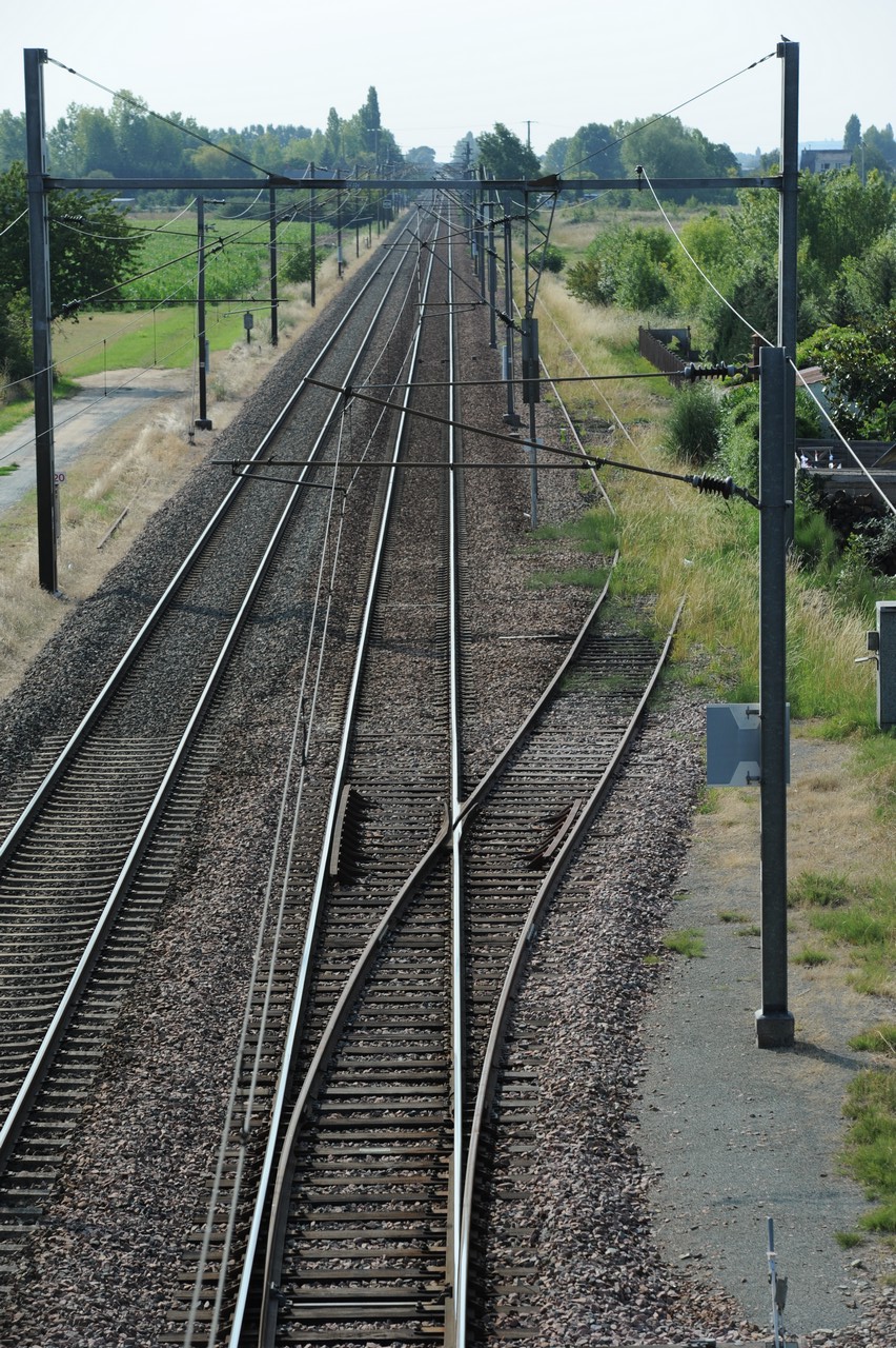 dsc_8708.jpg