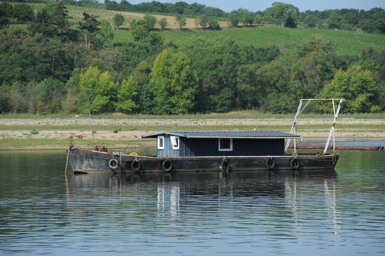 dsc_8712.jpg