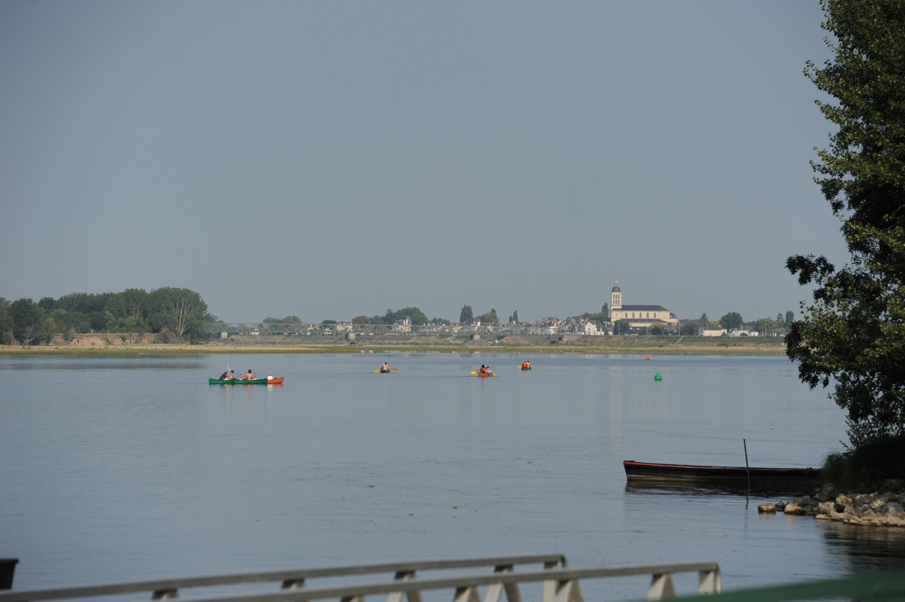 dsc_8713.jpg