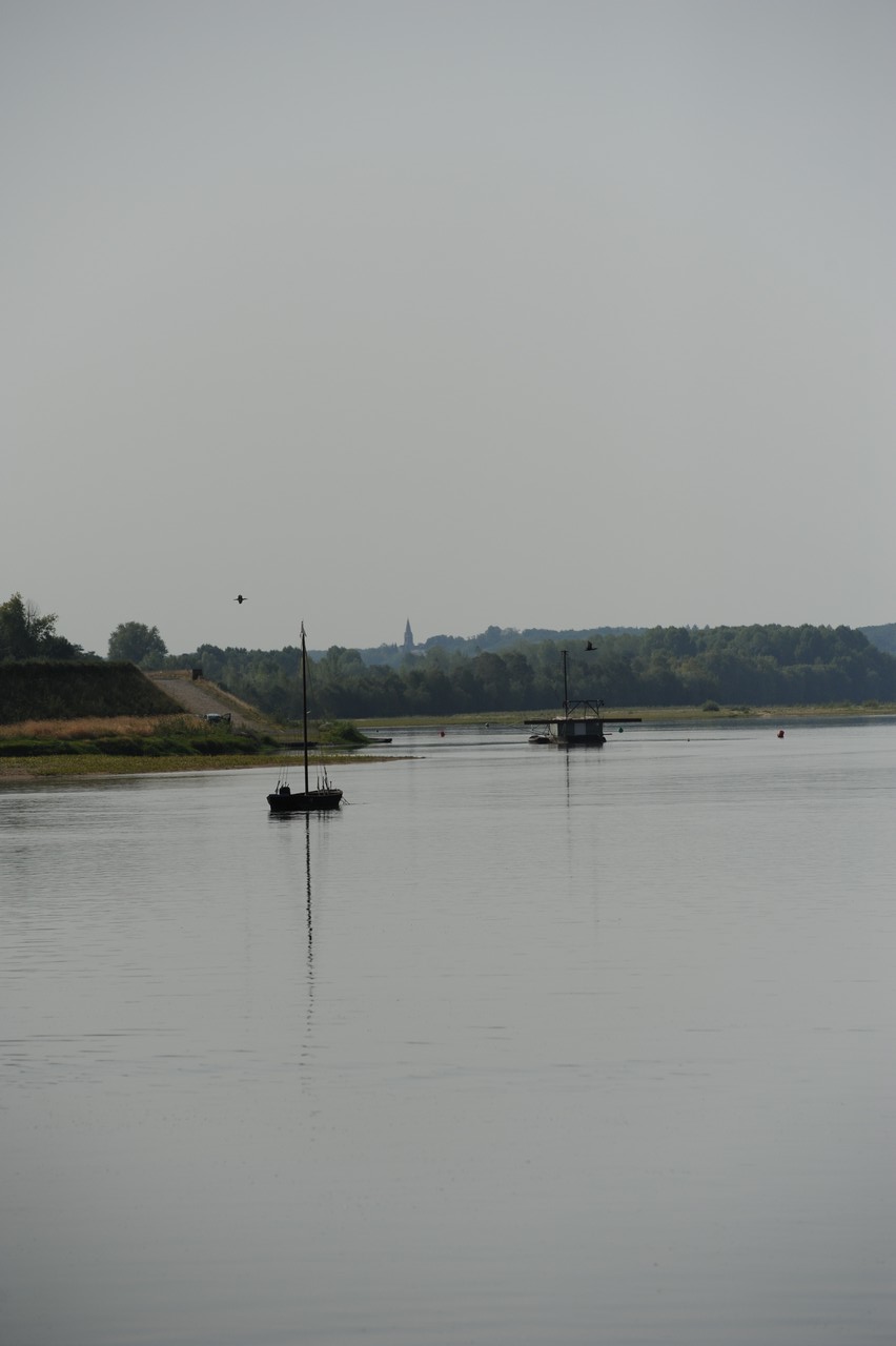 dsc_8717.jpg