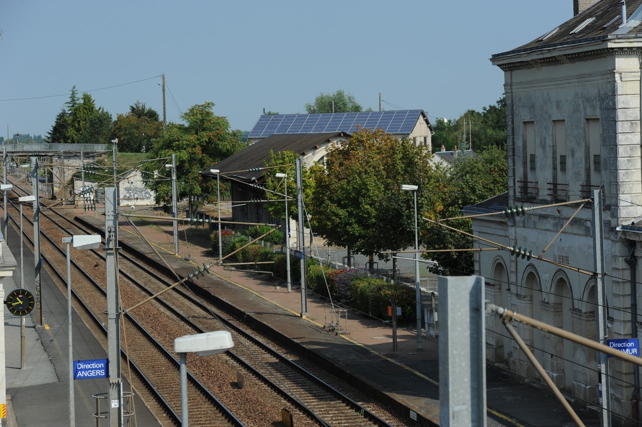 dsc_8777.jpg