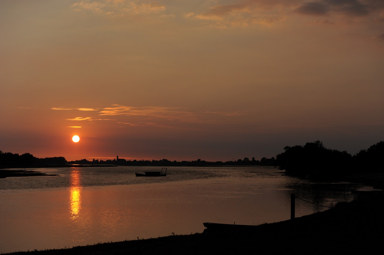 dsc_8833.jpg