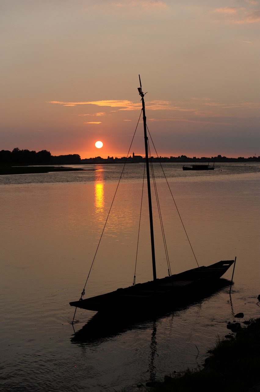dsc_8844.jpg