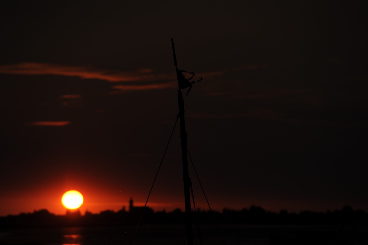 dsc_8851.jpg