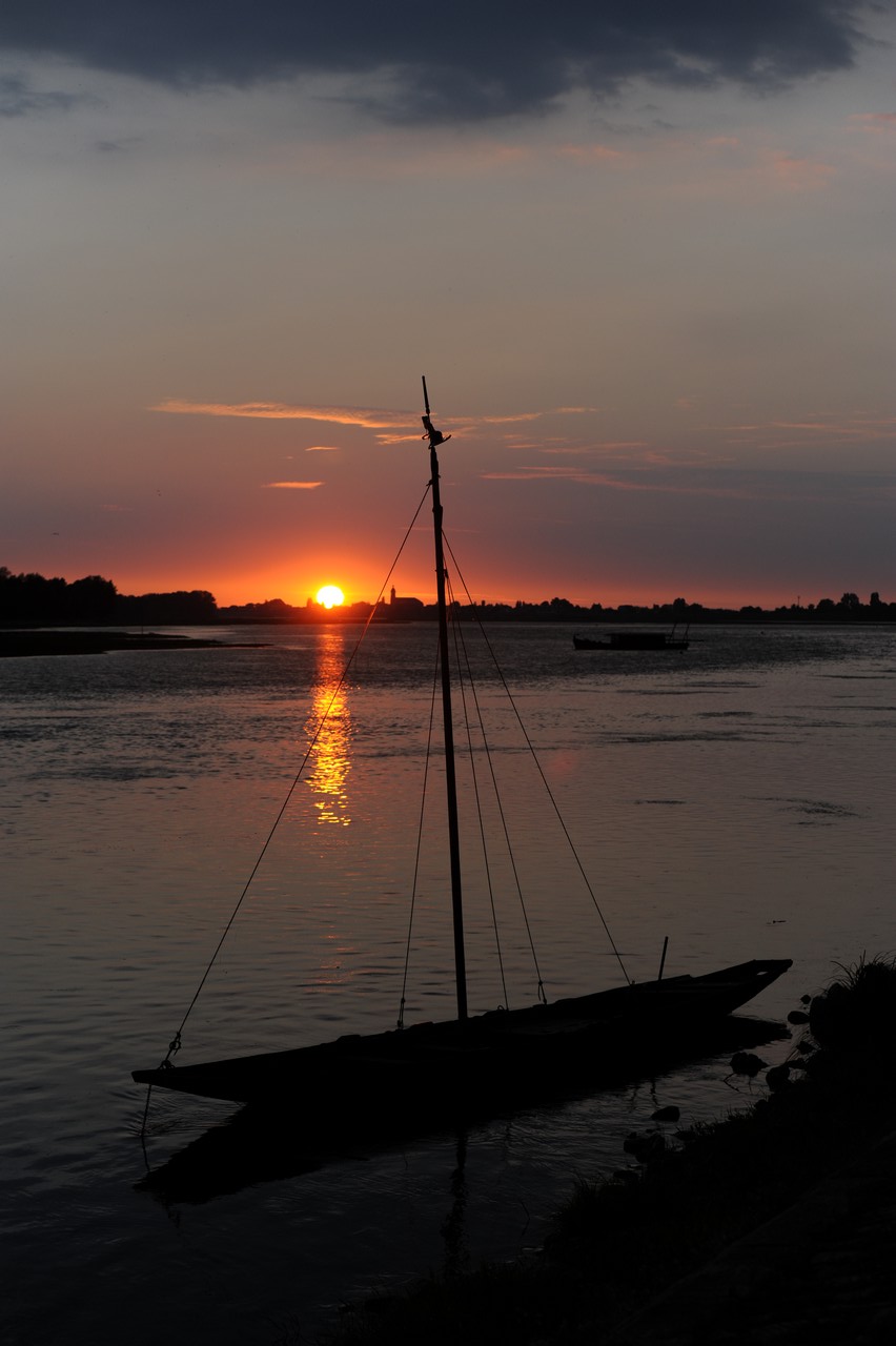 dsc_8855.jpg