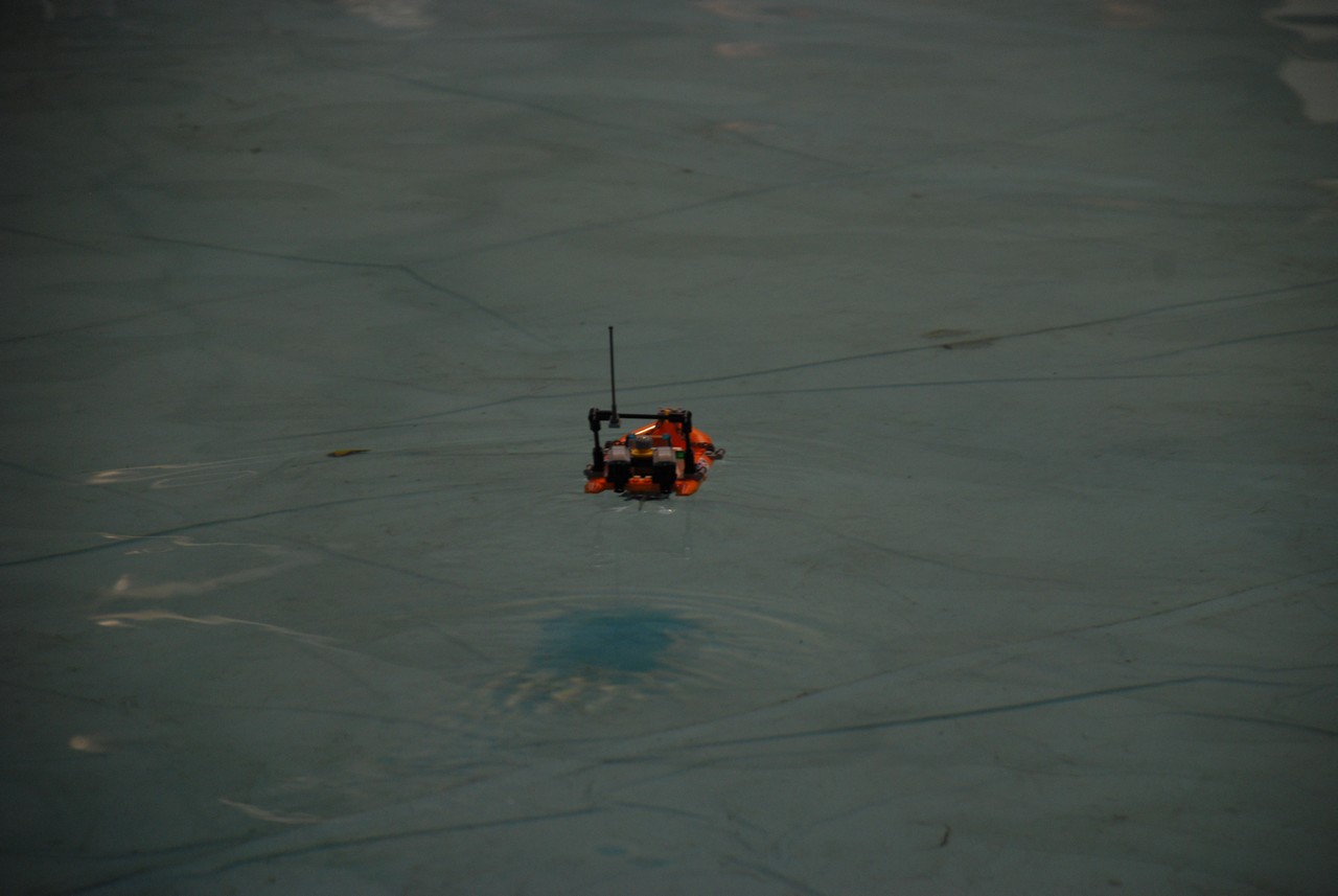 dsc_1335.jpg