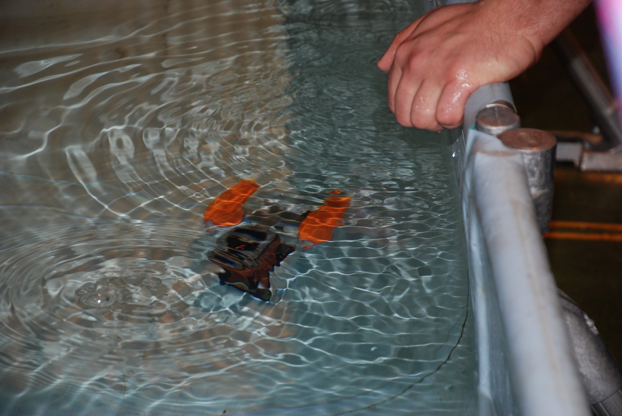 dsc_1430.jpg