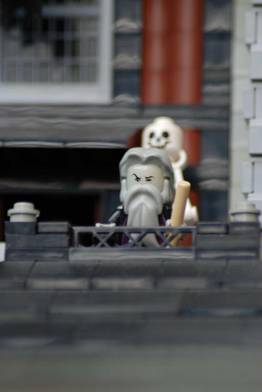 dsc_1526.jpg