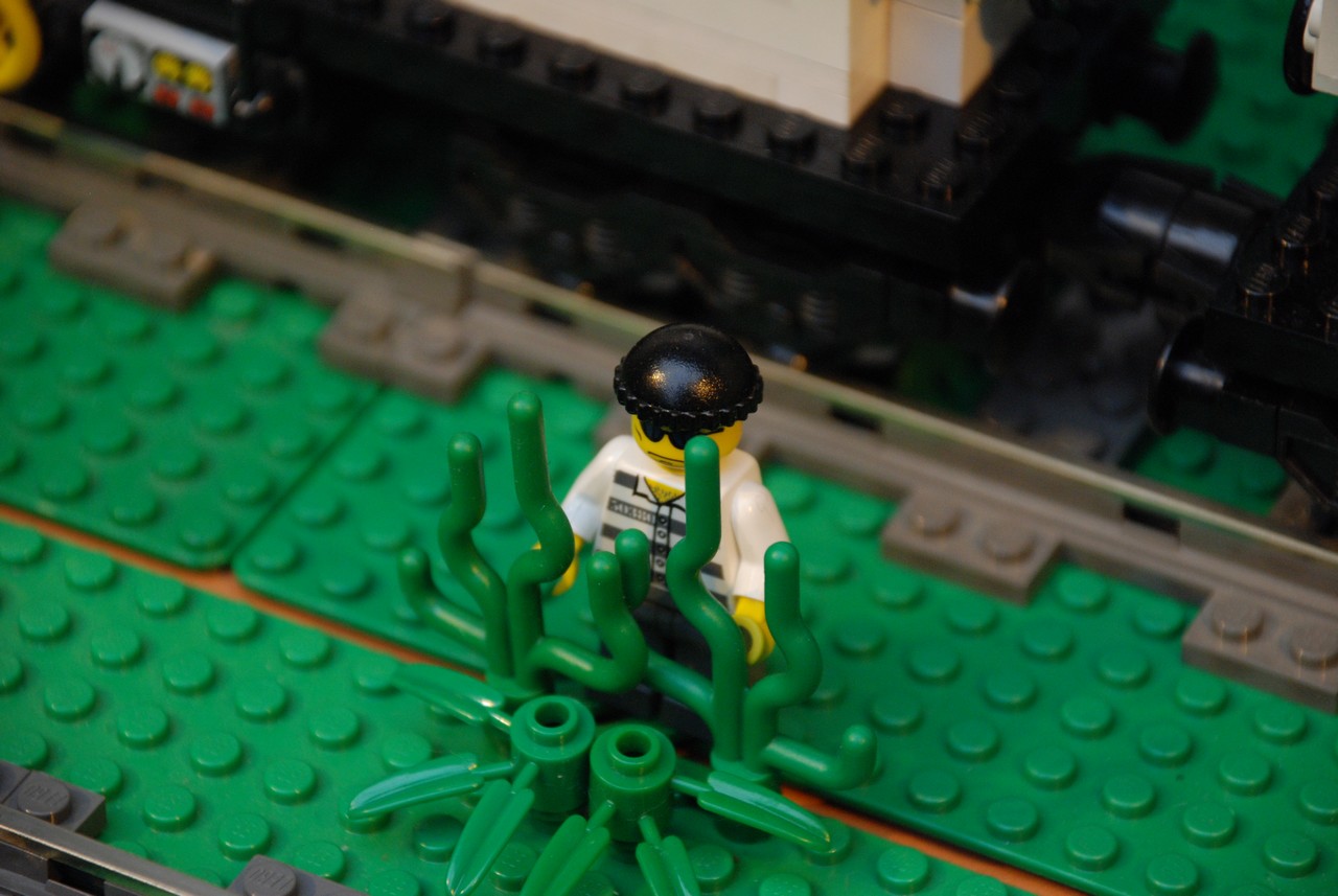 dsc_1660.jpg