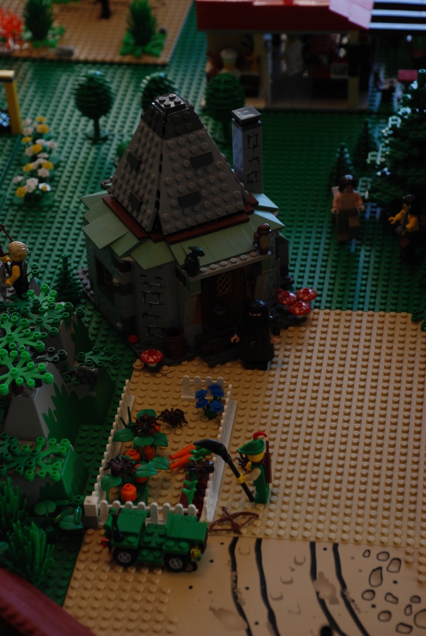 dsc_2227.jpg