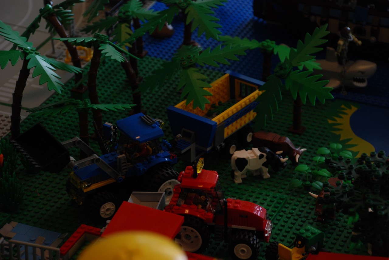 dsc_2296.jpg