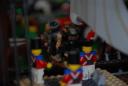 dsc_2294.jpg